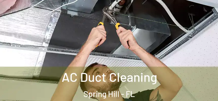  AC Duct Cleaning Spring Hill - FL