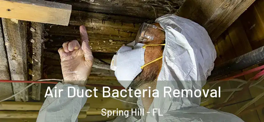 Air Duct Bacteria Removal Spring Hill - FL