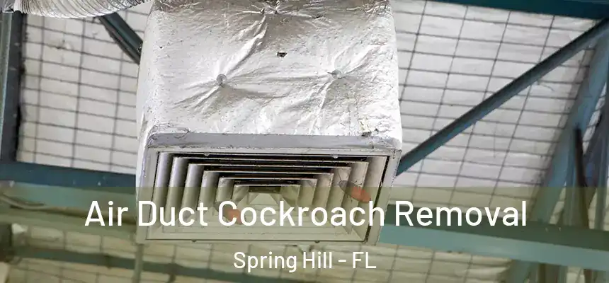 Air Duct Cockroach Removal Spring Hill - FL