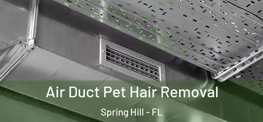  Air Duct Pet Hair Removal Spring Hill - FL