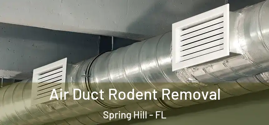  Air Duct Rodent Removal Spring Hill - FL