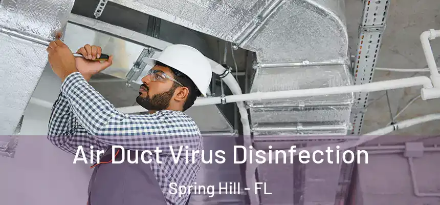  Air Duct Virus Disinfection Spring Hill - FL