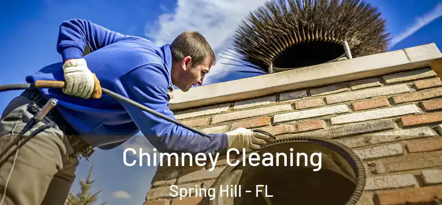Chimney Cleaning Spring Hill - FL