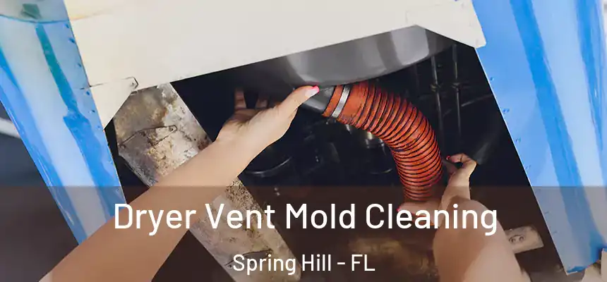  Dryer Vent Mold Cleaning Spring Hill - FL