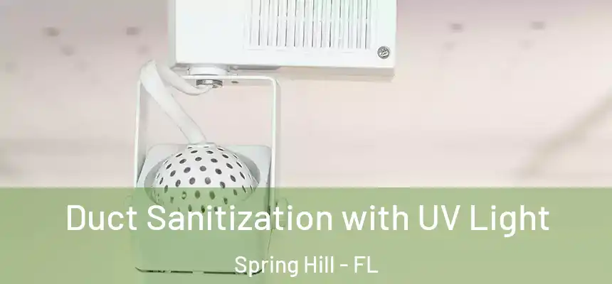  Duct Sanitization with UV Light Spring Hill - FL
