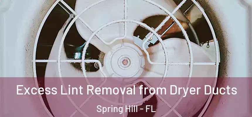  Excess Lint Removal from Dryer Ducts Spring Hill - FL