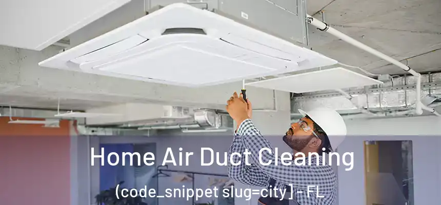  Home Air Duct Cleaning (code_snippet slug=city] - FL