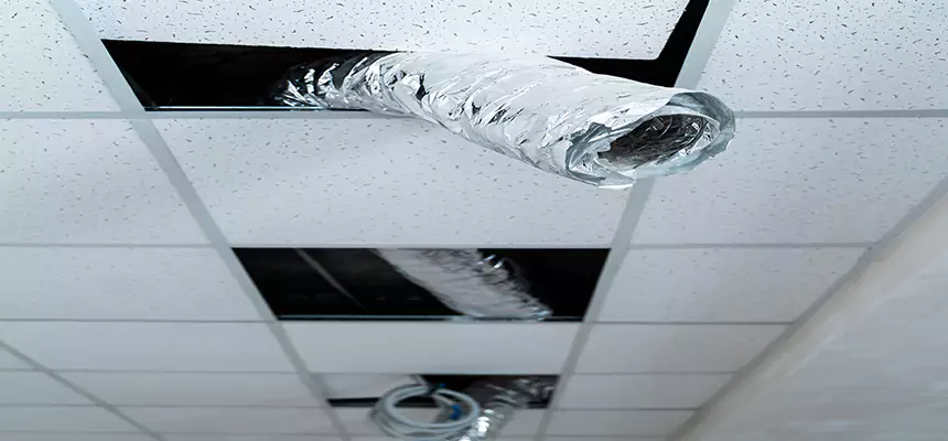 Affordable HVAC Sanitizing After Pest Removal in Spring Hill