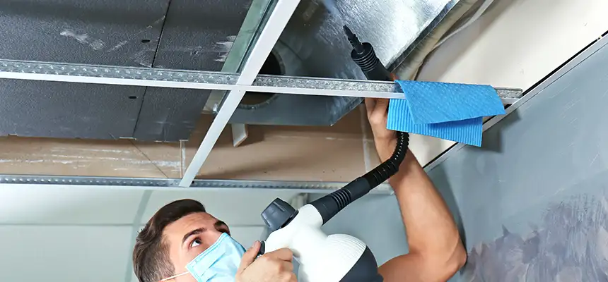 Our Air Duct Rodent Removal Services in Spring Hill, FL