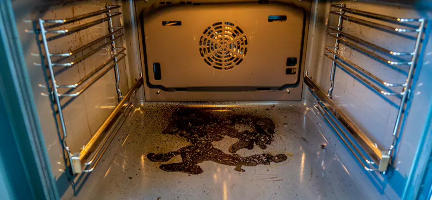 Our Dryer Vent Mold Cleaning Services in Spring Hill, FL