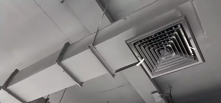 Our Rodent Droppings In Vents Services in Spring Hill, FL