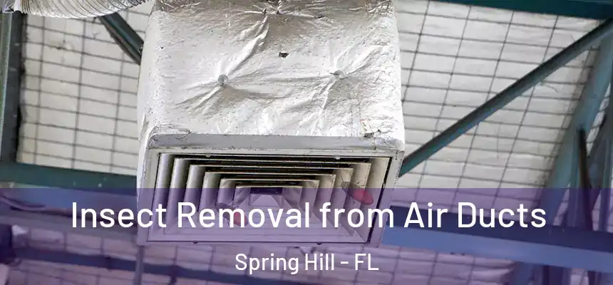 Insect Removal from Air Ducts Spring Hill - FL