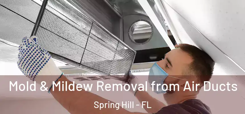  Mold & Mildew Removal from Air Ducts Spring Hill - FL