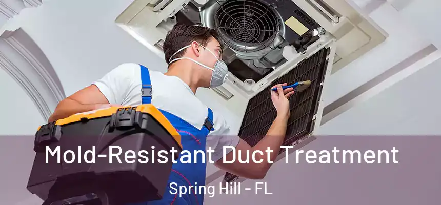  Mold-Resistant Duct Treatment Spring Hill - FL