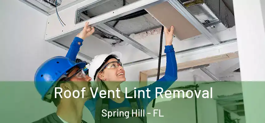  Roof Vent Lint Removal Spring Hill - FL