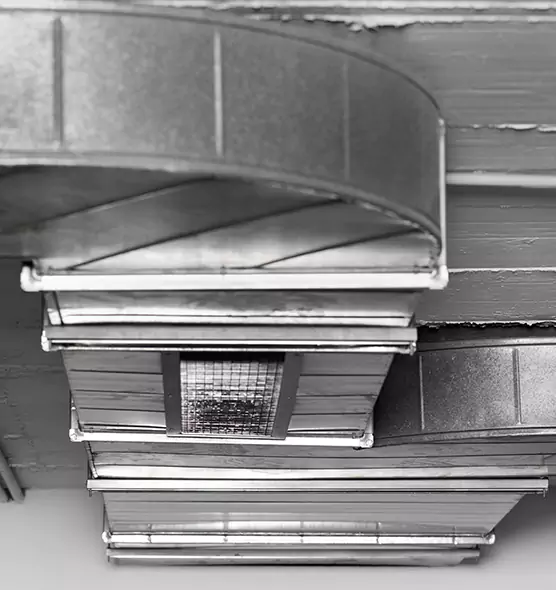 Professional Air Duct Pet Hair Removal in Spring Hill, FL