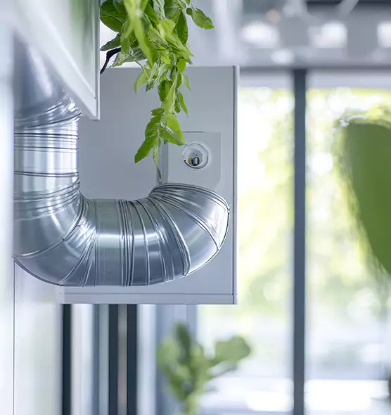 Professional Eco-Safe Dryer Vent Cleaning in Spring Hill, FL