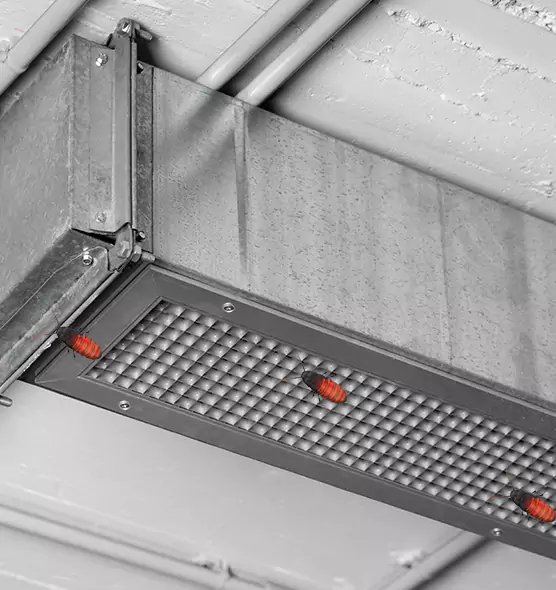 Affordable Insect Removal from Air Ducts in Spring Hill, FL