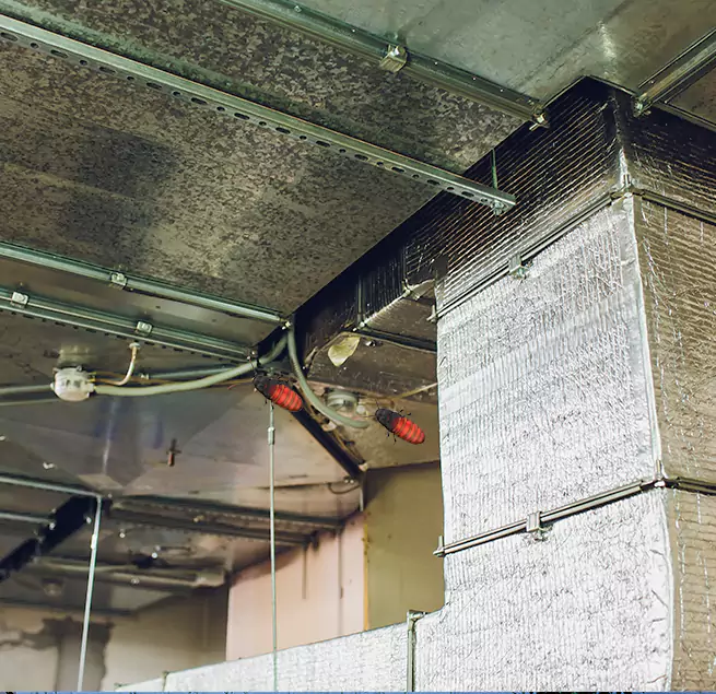 Why Homeowners & Businesses Trust Us in Spring Hill, FL?