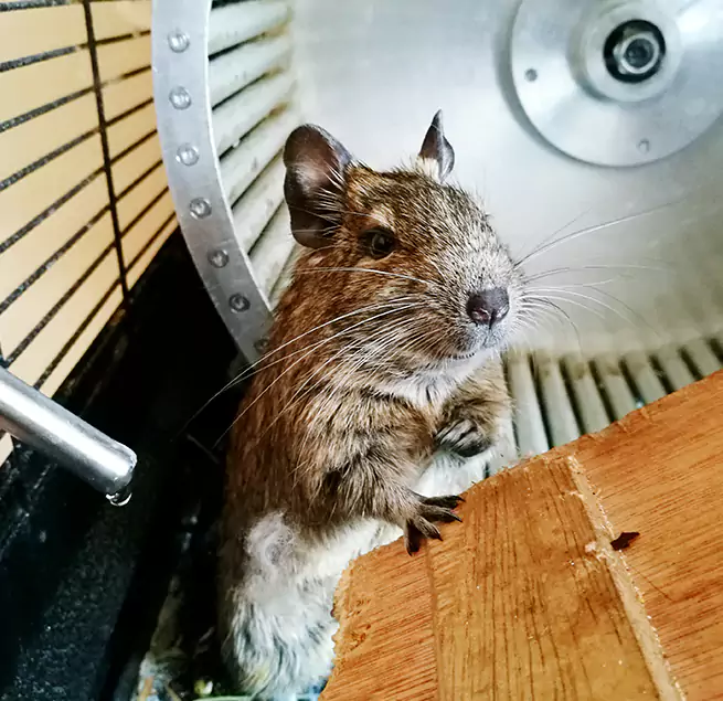 Why Homeowners & Businesses Trust Us Spring Hill, FL