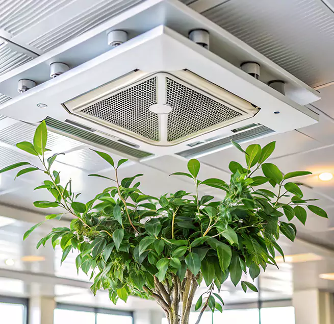 Why Homeowners & Businesses Trust Us in Spring Hill, FL