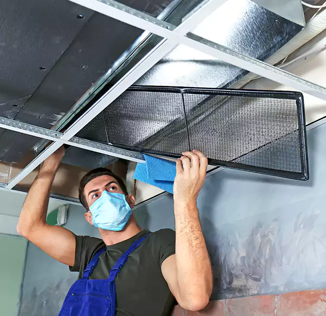 Why Homeowners Businesses Trust Us in Spring Hill, FL