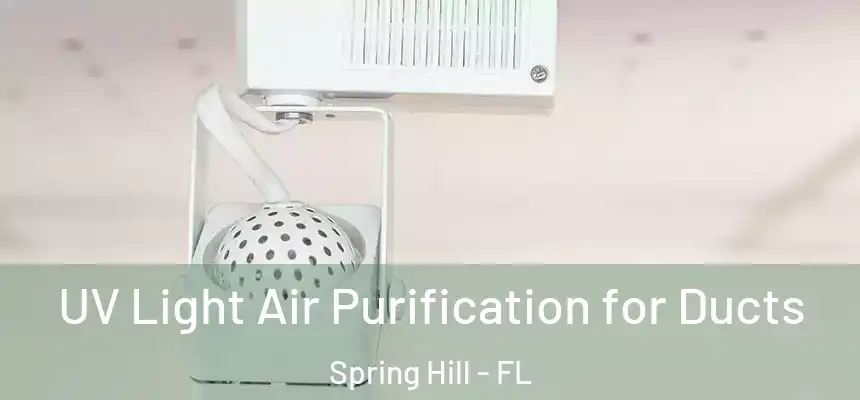  UV Light Air Purification for Ducts Spring Hill - FL